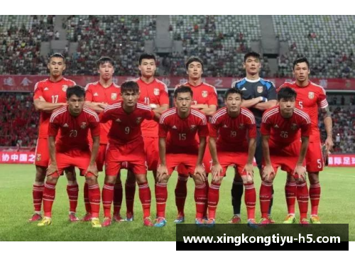 冰岛国家队阵容及球员资料全览